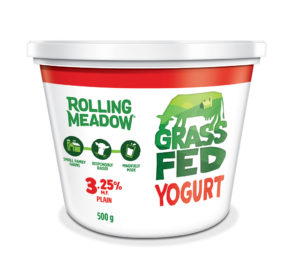 3.25% Plain Yogurt